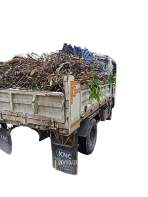 u4-184870-removebg-preview-removebg-preview-47