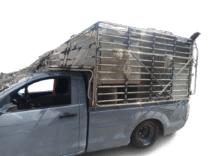 57395 0 removebg preview 10